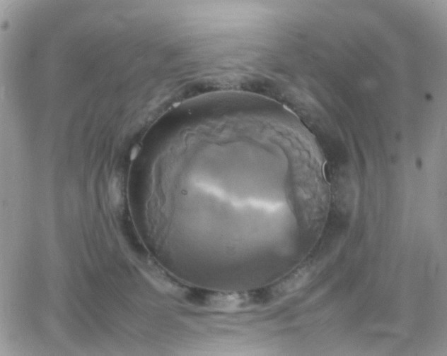 X0000066520131200603241346