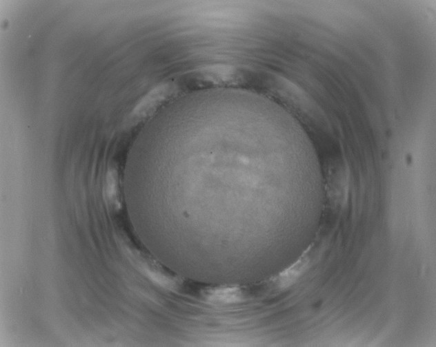 X0000066520132200603241346