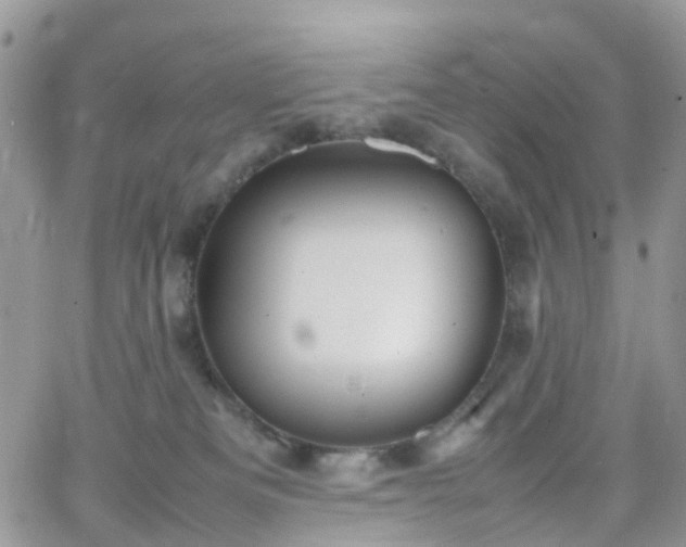 X0000066520133200603241346