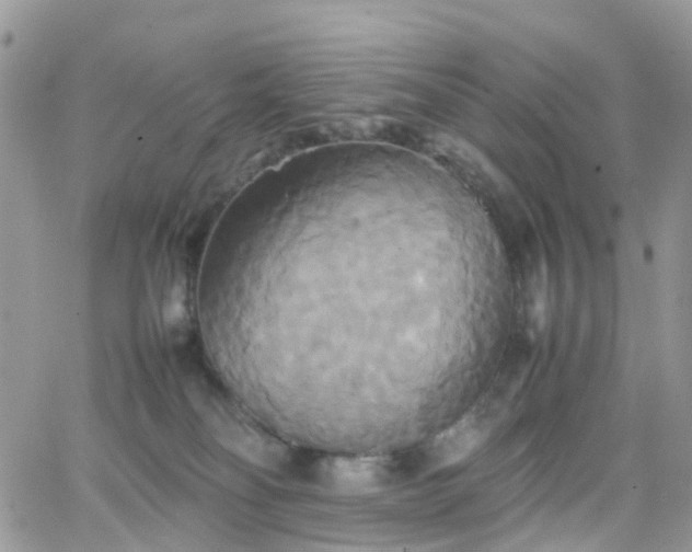 X0000066520134200603241346