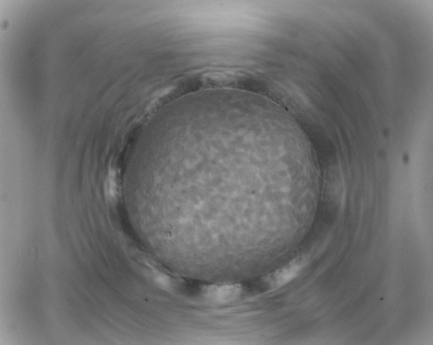 X0000066520135200603241346