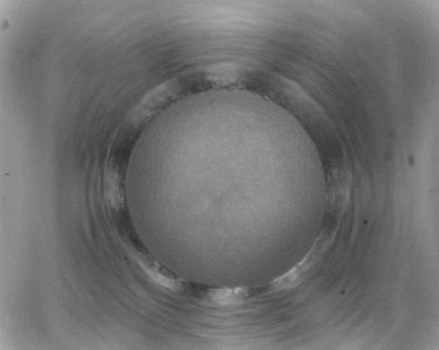 X0000066520136200603241346