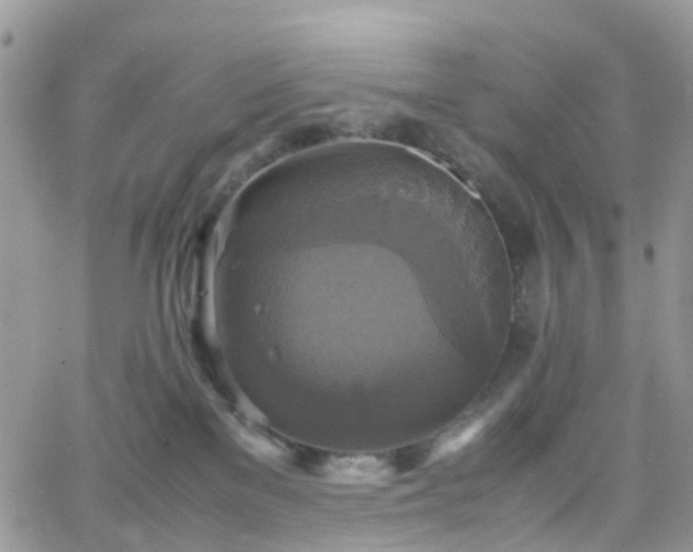 X0000066520137200603241346