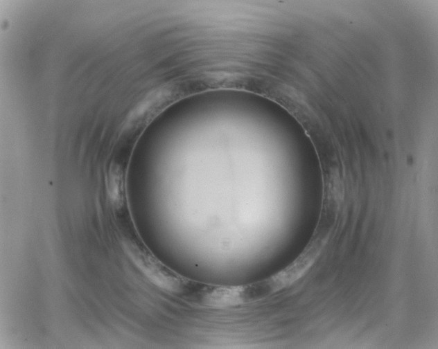 X0000066520138200603241346