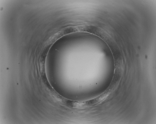 X0000066520139200603241346