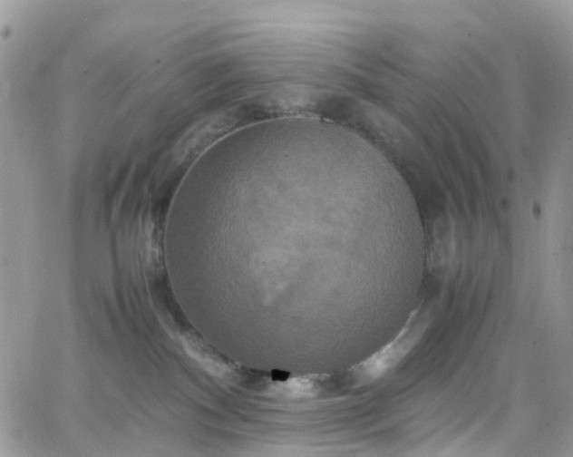 X0000066520140200603241346