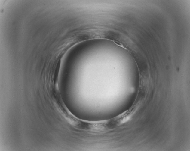 X0000066520141200603241346