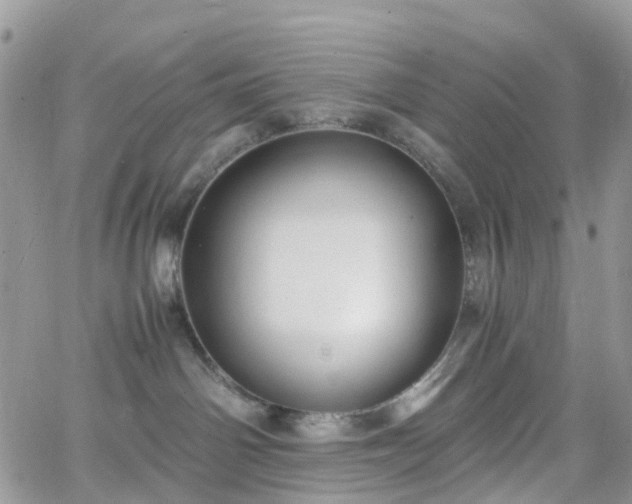 X0000066520142200603241346