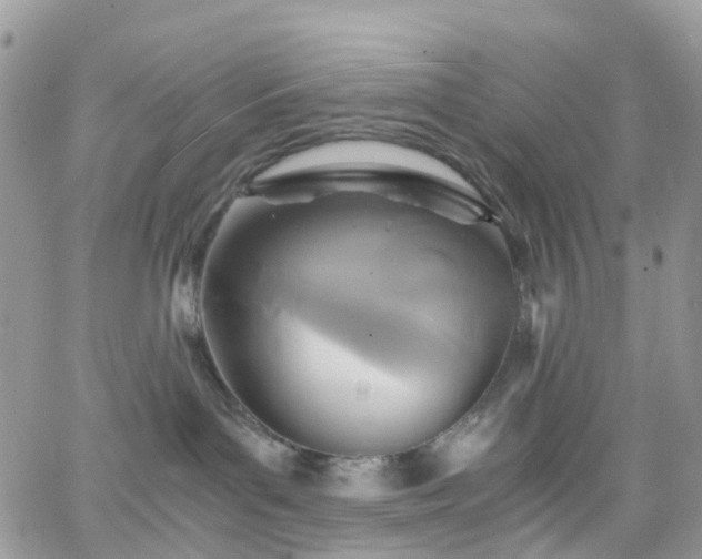 X0000066520143200603241346