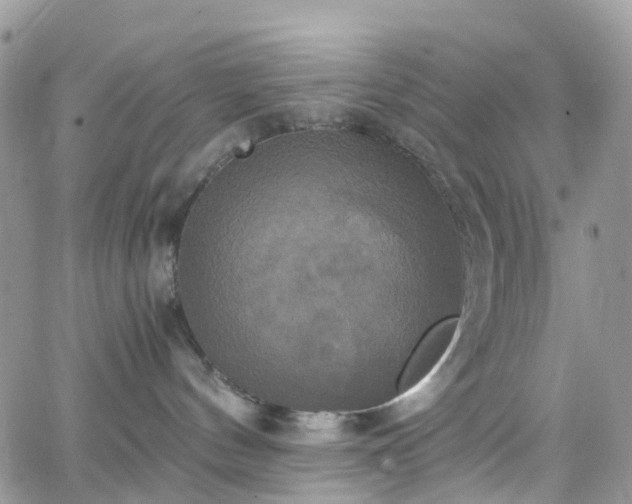 X0000066520144200603241346