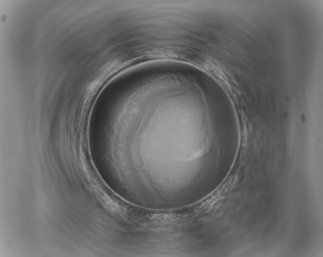 X0000066520145200603241345