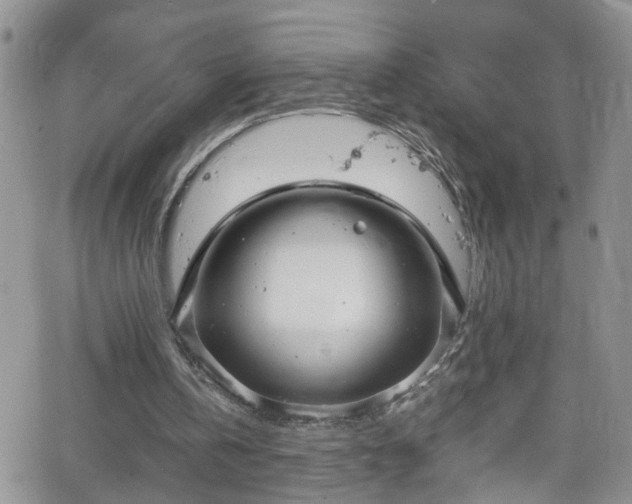 X0000066520146200603241345