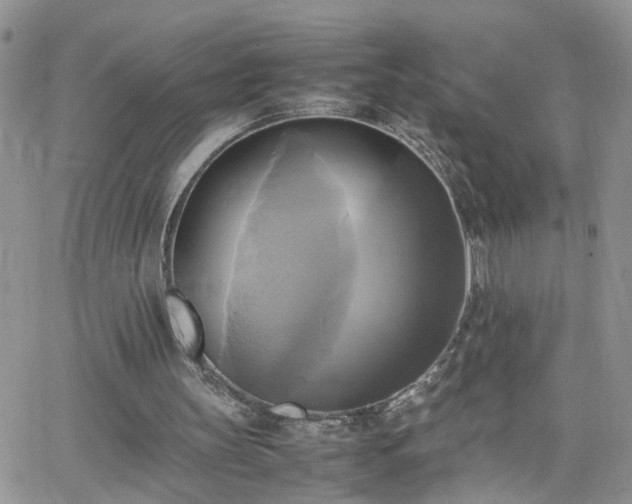 X0000066520147200603241345