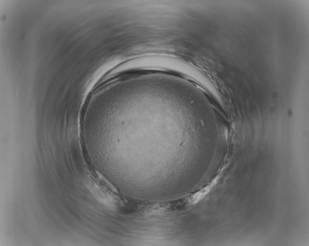 X0000066520148200603241345