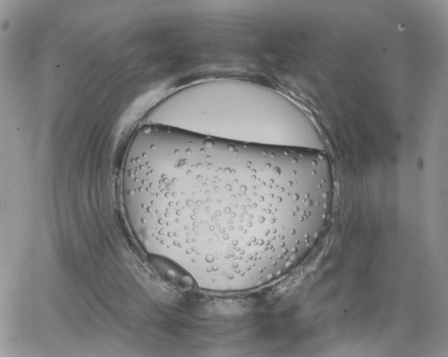 X0000066520149200603241345