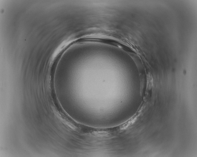 X0000066520150200603241345