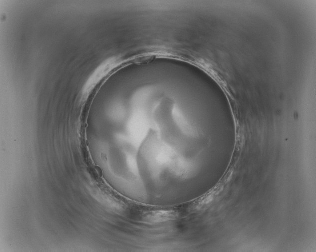 X0000066520151200603241345