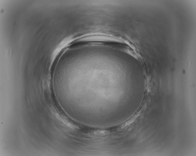 X0000066520152200603241345