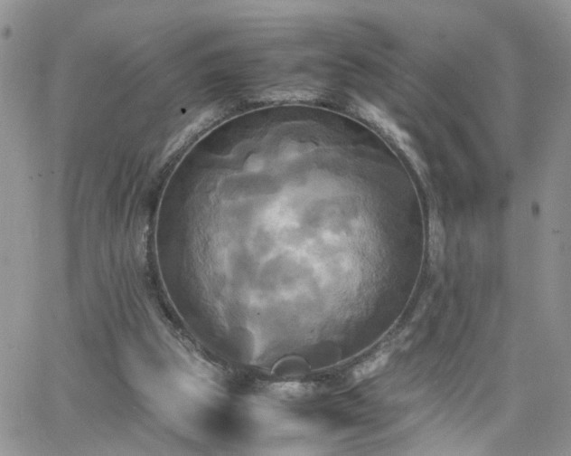 X0000066520153200603241345