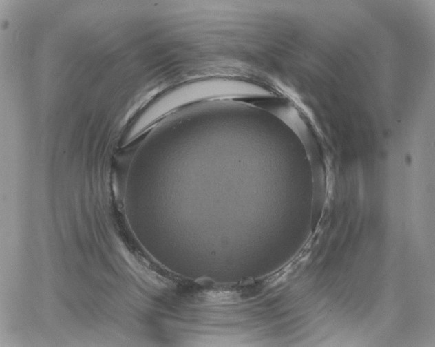 X0000066520154200603241345