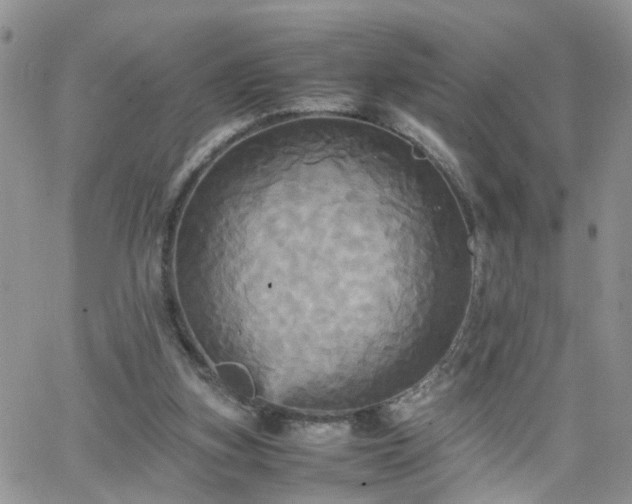 X0000066520155200603241345