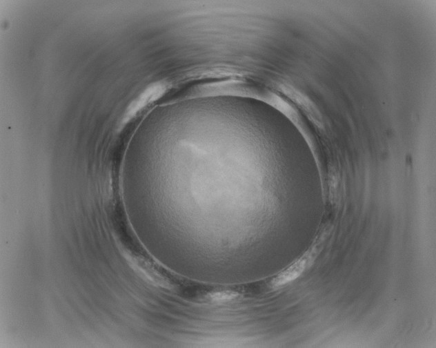 X0000066520158200603241345