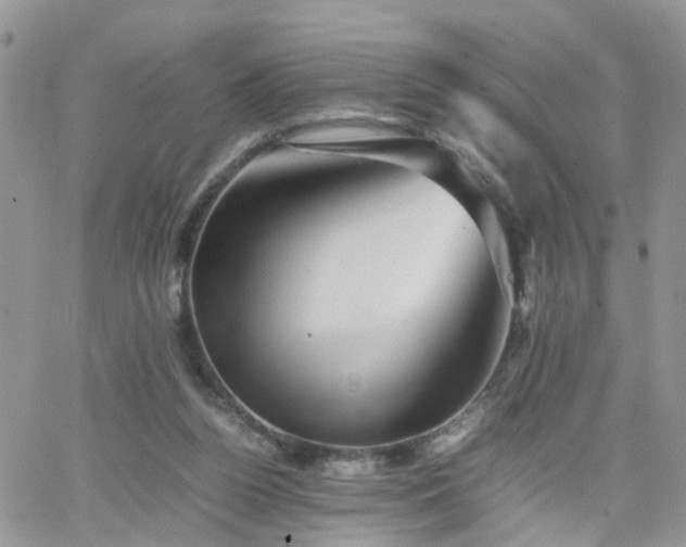 X0000066520160200603241345