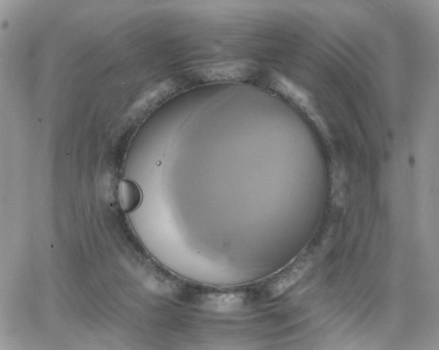 X0000066520161200603241345