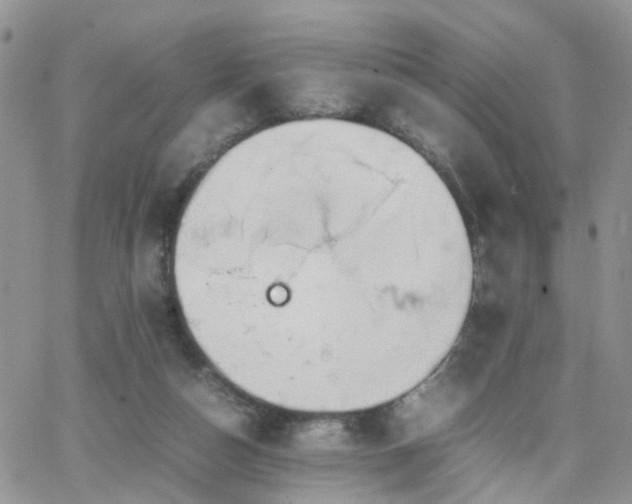 X0000066520162200603241345