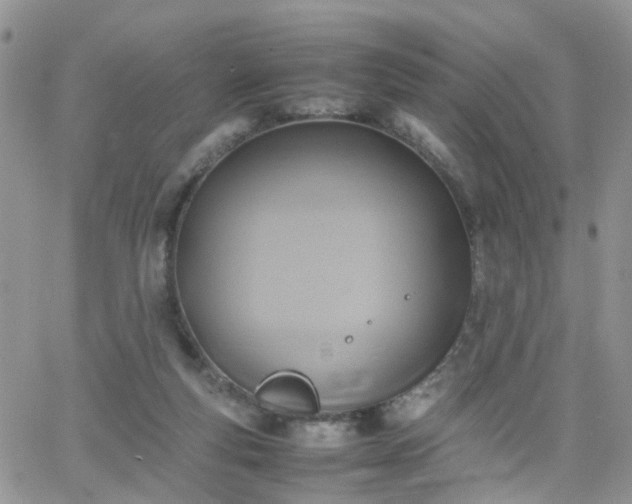 X0000066520163200603241345