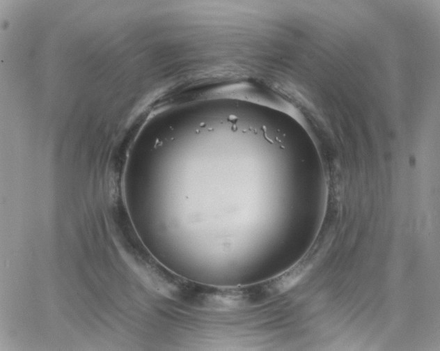 X0000066520164200603241345