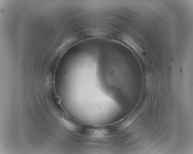 X0000066520165200603241345