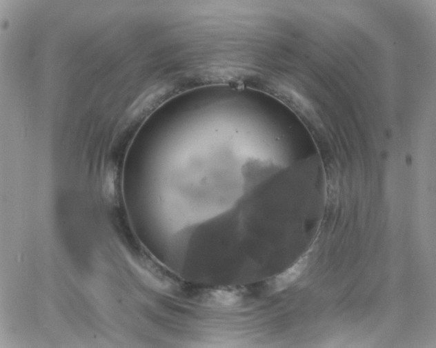 X0000066520166200603241345