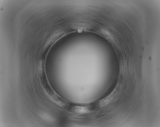 X0000066520167200603241345