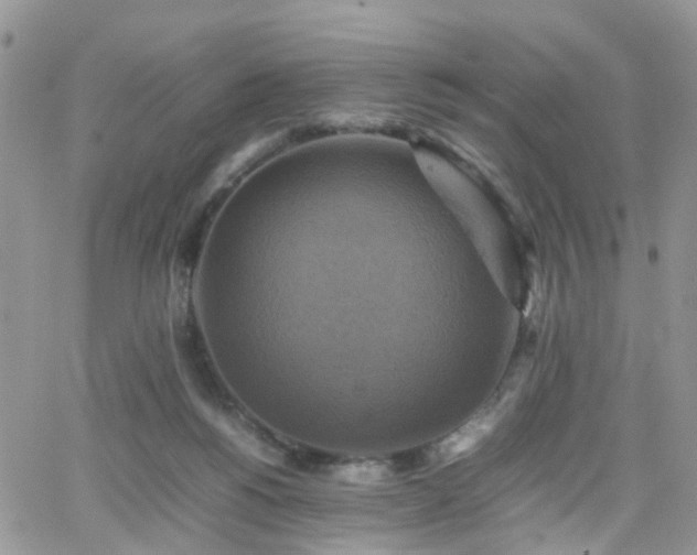 X0000066520168200603241345