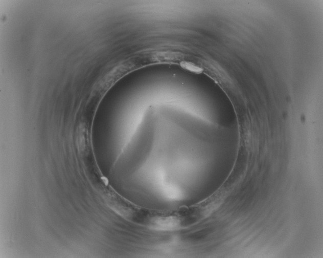 X0000066520169200603241345