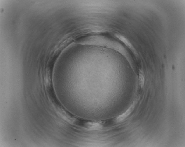 X0000066520170200603241345