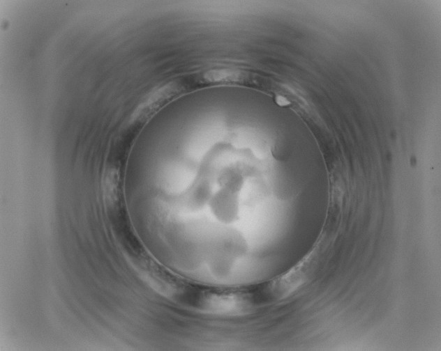 X0000066520171200603241345