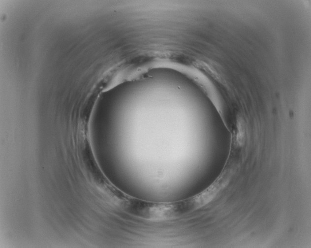 X0000066520172200603241345