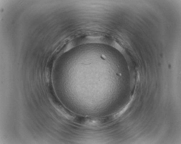 X0000066520174200603241345