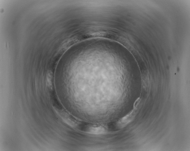 X0000066520175200603241345