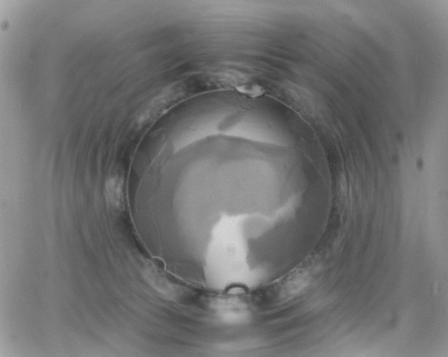 X0000066520177200603241345