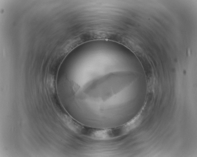 X0000066520178200603241345