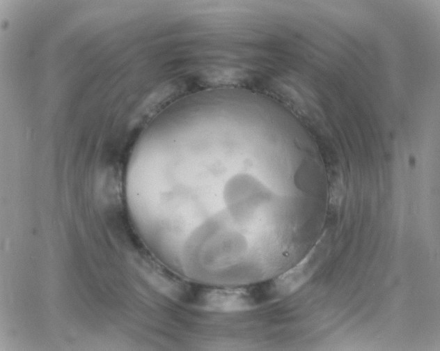 X0000066520179200603241345