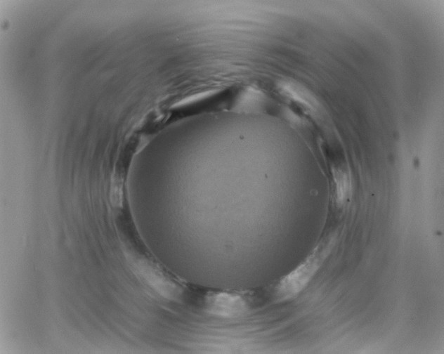 X0000066520180200603241345