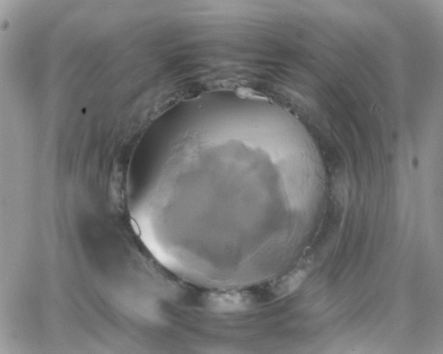 X0000066520181200603241346