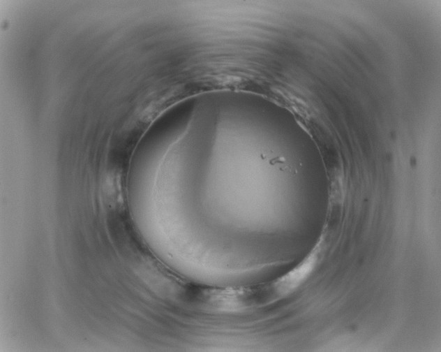 X0000066520182200603241346