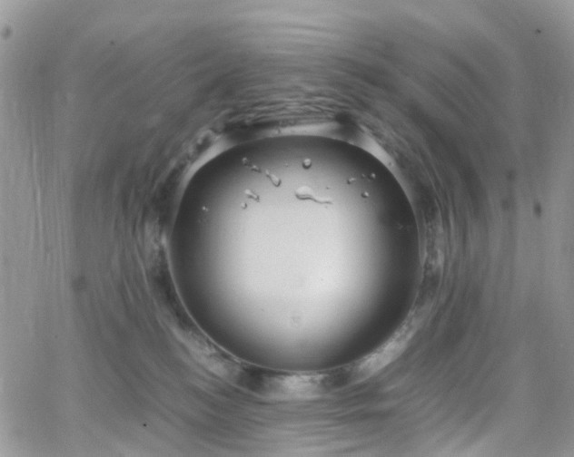 X0000066520184200603241346