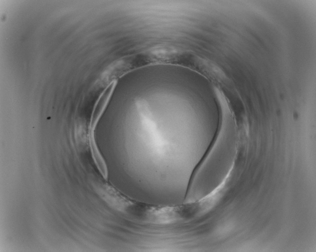 X0000066520186200603241346