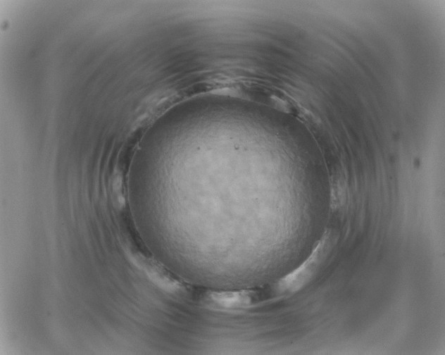 X0000066520187200603241346